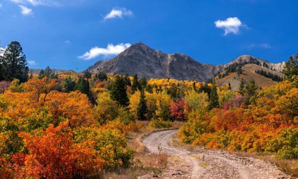 Wolf Creek Lodge Condo In Eden, Ut - Relaxing Mountain Retreat Buitenkant foto