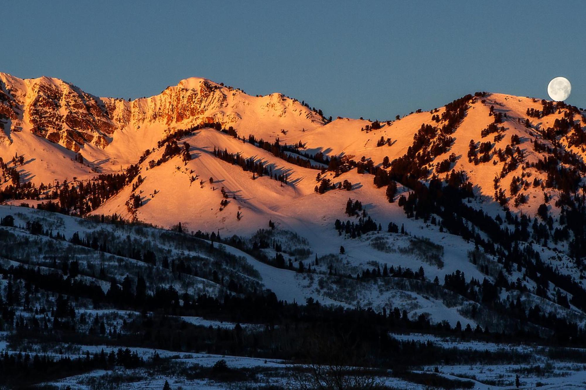Wolf Creek Lodge Condo In Eden, Ut - Relaxing Mountain Retreat Buitenkant foto